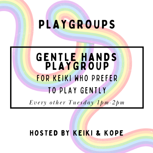Gentle Hands Keiki Playgroup